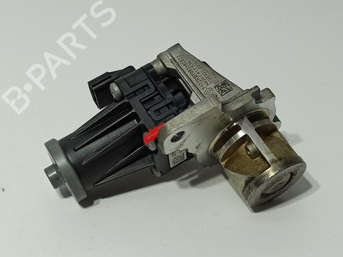 Egr RENAULT KANGOO Express (FW0/1_) | BP23953299M69