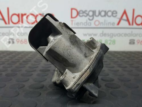 Egr RENAULT KANGOO Express (FW0/1_)  | BP2733033M69