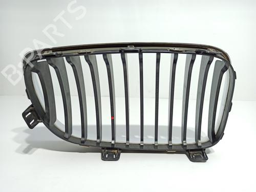 Grille BMW 1 (E87)  | BP16755294C40 