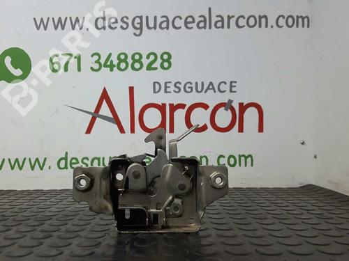 Used Hood lock RENAULT CLIO III (BR0/1, CR0/1) 1.2 16V (BR02, BR0J, BR11, CR02, CR0J, CR11) (75 hp) 8776204