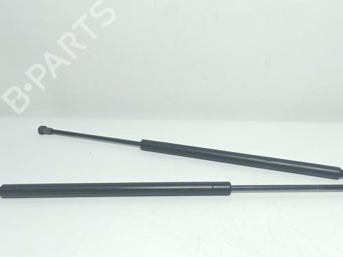 Tailgate lift support BMW X5 (E53) 3.0 d | BP14534400C138 