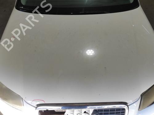 Used Hood AUDI A3 (8P1) 1.9 TDI (105 hp) 25435565