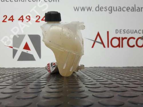 Used Expansion tank RENAULT KANGOO / GRAND KANGOO II (KW0/1_) 1.5 dCi 90 (KW05, KW08, KW0G, KW11) (90 hp) 2730060