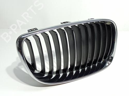 Grille BMW 1 (E87)  | BP16755366C40 