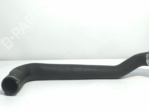 Pipe FORD TRANSIT Bus (FD_ _, FB_ _, FS_ _, FZ_ _, FC_ _) 2.4 TDCi | BP14544551M125