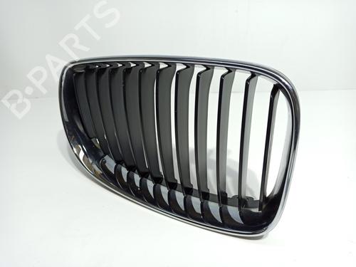 Grille BMW 1 (E87)  | BP16755366C40 