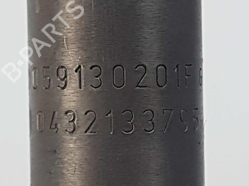 Injector AUDI A4 B6 Convertible (8H7) 2.5 TDI | BP8138043M100 