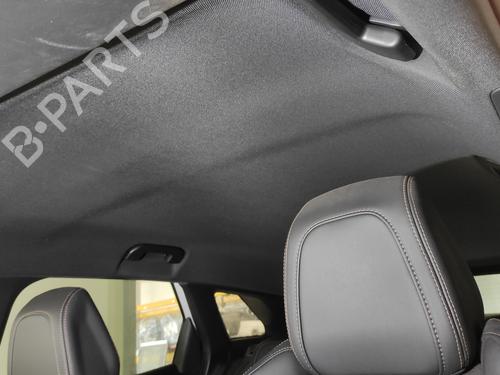 Interior roof PEUGEOT 3008 II SUV (MC_, MR_, MJ_, M4_) 1.5 BlueHDi 130 | BP27489879I12