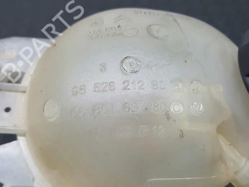 Expansion tank PEUGEOT 208 I (CA_, CC_) 1.6 HDi | BP2770117C120