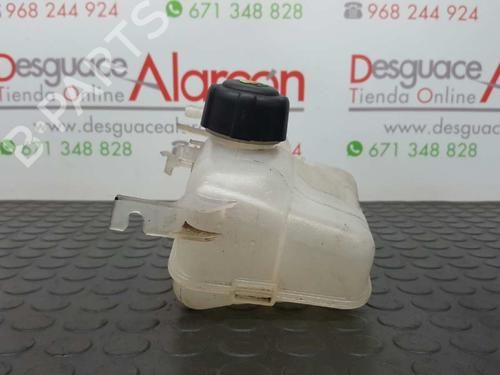 Interior roof light RENAULT MEGANE III Hatchback (BZ0/1_, B3_) 1.5 dCi (BZ1G, BZ1W, BZ0R) | BP11386834I8 
