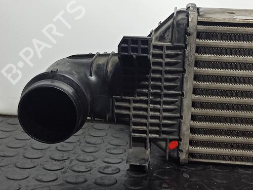 Intercooler MERCEDES-BENZ E-CLASS (W212) E 220 CDI / BlueTEC (212.001, 212.002) | BP12578349M30