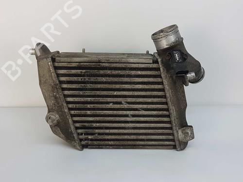 Ladeluftkühler AUDI A8 D3 (4E2, 4E8) 3.0 TDI quattro | BP9437073M30 