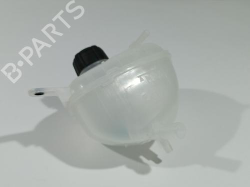 Ekpansionstank RENAULT AUSTRAL TCe 160 (HGMJ) | BP31824783C120