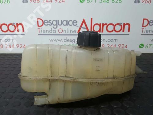 Used Expansion tank RENAULT CLIO III (BR0/1, CR0/1) 1.5 dCi (BR17, CR17) (86 hp) 2739399