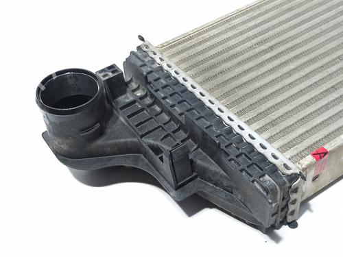 Intercooler MERCEDES-BENZ M-CLASS (W164) ML 320 CDI 4-matic (164.122) | BP25750352M30 