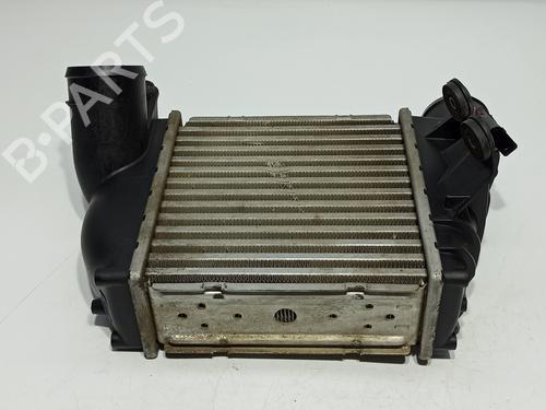Intercooler SEAT LEON (1M1) 1.9 TDI | BP16340100M30