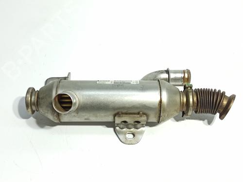 Egr CITROËN XSARA PICASSO (N68) 2.0 HDi | BP16939616M69 