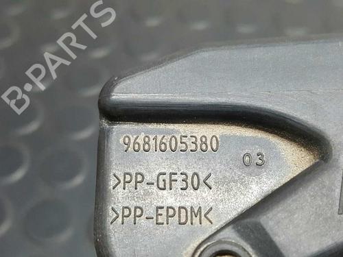 Fuel flap CITROËN C3 Picasso (SH_) 1.6 HDi | BP5402865C131