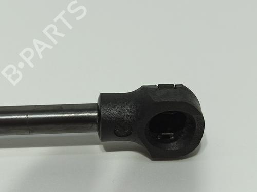 Hood lift support RENAULT EXPRESS Box Body/MPV  | BP19498798C139