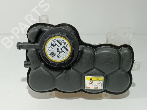 Expansion tank LAND ROVER RANGE ROVER VELAR (L560) 2.0 D240 SD4 4x4 | BP29602045C120