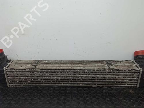 Used Intercooler RENAULT MEGANE III Hatchback (BZ0/1_, B3_) 2.0 dCi (BZ0Y) (150 hp) 6894438