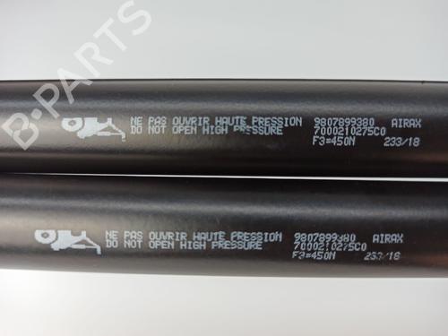 Tailgate lift support PEUGEOT 308 II (LB_, LP_, LW_, LH_, L3_) 1.2 THP 110 | BP14535991C138