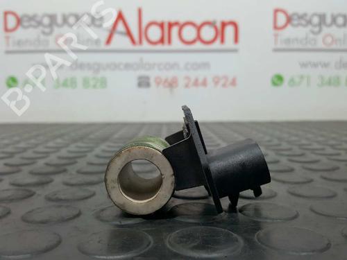 Other FIAT 500 (312_) 1.2 (312AXA1A) | BP14531237O1