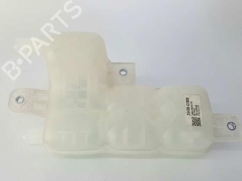 Expansion tank HYUNDAI IONIQ (AE) 1.6 GDI Hybrid | BP7994623C120 