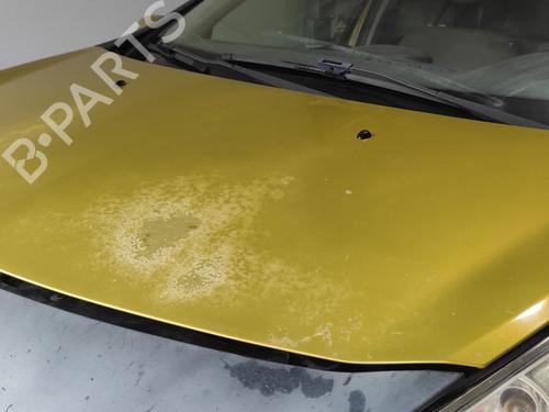 Hood RENAULT CLIO III (BR0/1, CR0/1) 1.5 dCi (BR17, CR17) | BP21085964C1 