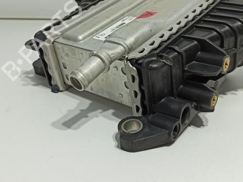 Intercooler RENAULT EXPRESS Box Body/MPV | BP30189695M30