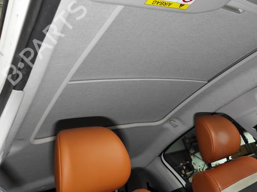 Interior roof CITROËN C3 III (SX) 1.6 BlueHDi 100 | BP27666508I12 