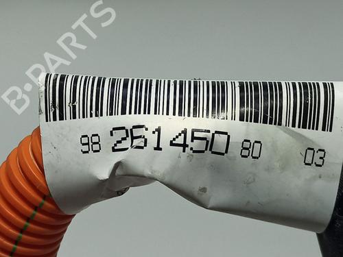 Cable PEUGEOT 208 II (UB_, UP_, UW_, UJ_) e-208 | BP23335070E12 