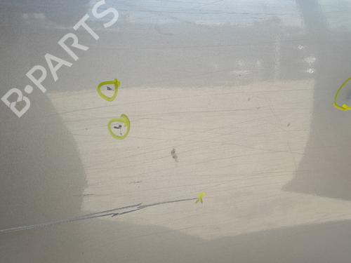 Right rear door NISSAN X-TRAIL I (T30) 2.2 DCi | BP21126784C5