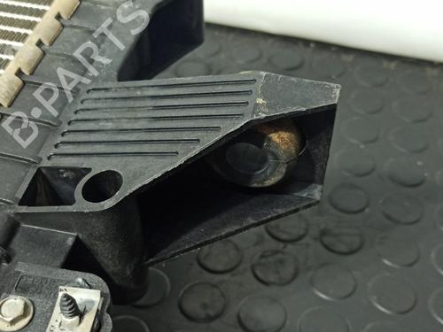 Water radiator LAND ROVER DISCOVERY IV (L319) 2.7 TD 4x4 | BP16074799M31 