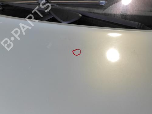 Hood RENAULT SCÉNIC II (JM0/1_) 1.6 (JM0C, JM0J, JM1B) | BP26656039C1