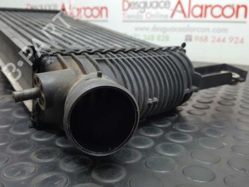 Intercooler NISSAN PATHFINDER III (R51)  | BP2757665M30 