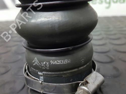 Pipe PEUGEOT 207 (WA_, WC_) 1.6 HDi | BP14527568M125