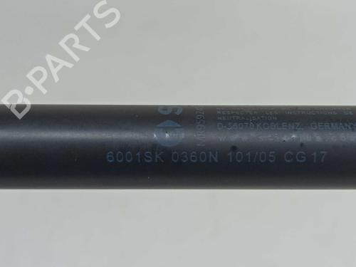 Tailgate lift support SMART FORFOUR (454) 1.1 (454.033) | BP14541074C138