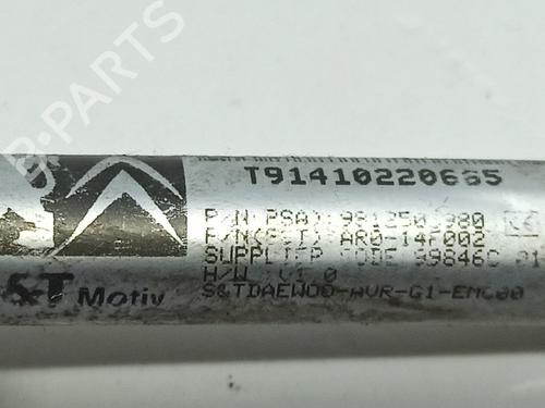 Camera PEUGEOT 308 II (LB_, LP_, LW_, LH_, L3_) 1.2 THP 130 | BP25587257E14 