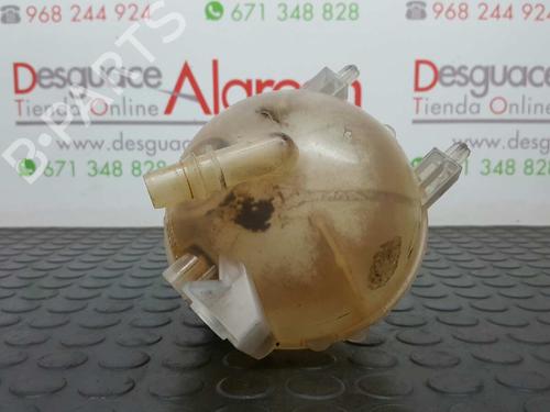 Expansion tank CITROËN C4 Grand Picasso I (UA_) 2.0 HDi 138 | BP2757829C120 