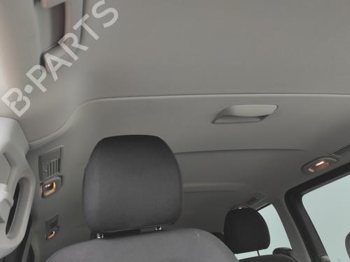 Interior roof MERCEDES-BENZ V-CLASS (W447) V 200 CDI / d 4-matic (447.811, 447.813, 447.815) | BP24459995I12