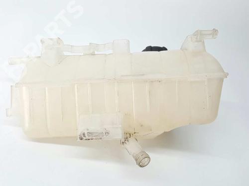 Expansion tank RENAULT KANGOO Express (FW0/1_)  | BP2902366C120 