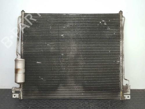 AC radiator NISSAN PATHFINDER III (R51) 2.5 dCi | BP7436269M32