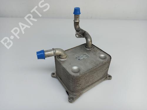 Oil radiator AUDI A6 C6 (4F2) 4.2 FSI quattro | BP14539407M33