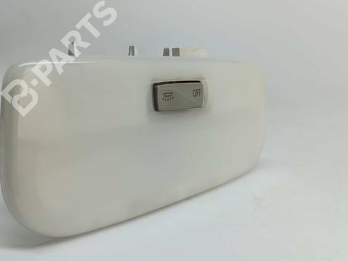 Interior roof light RENAULT MEGANE III Hatchback (BZ0/1_, B3_) 2.0 dCi (BZ0Y) | BP11387676I8 