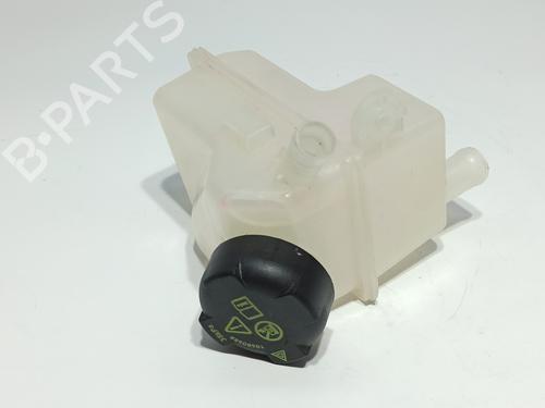 Expansion tank MG MG HS 1.5 EHS Hybrid (CSA6463) (258 hp) 13707712