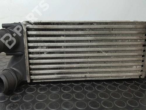 Used Intercooler PEUGEOT PARTNER Tepee 1.6 HDi (109 hp) 7017805