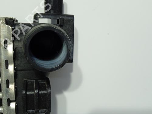Water radiator SEAT IBIZA IV (6J5, 6P1)  | BP29171107M31 