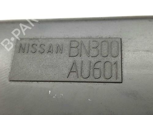 Air filter box NISSAN X-TRAIL I (T30) 2.2 DCi | BP14531715M87 