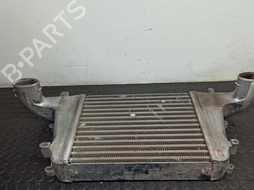 Intercooler NISSAN CABSTAR E (TL_, VL_)  | BP11495148M30 